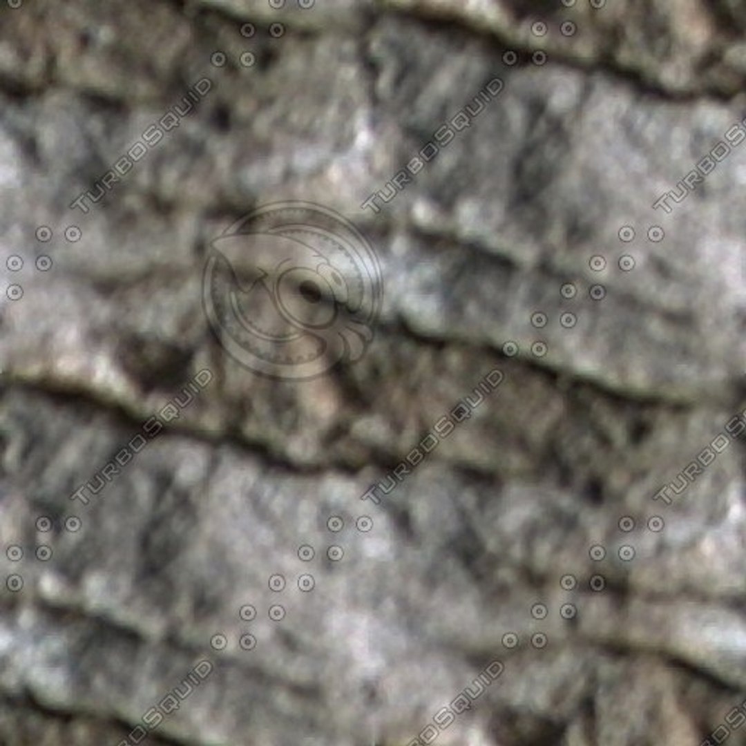  https://p.turbosquid.com/preview.turbosquid.com/Preview/2014/08/01__20_40_40/seamless rock(45).jpgbe3640c2-8a4b-4794-ad6c-c885ec122424Larger/jpg/1289356490/1920x1080/fit_q87/387d17999a8d6e2452bdd4d70e1a38fe95848ee7/seamless rock(45).jpgbe3640c2-8a4b-4794-ad6c-c885ec122424Larger.jpg